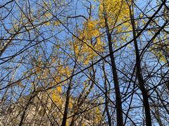 -龙洞风景区-藏龙涧