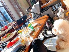 -上海崇明金茂凯悦酒店