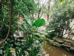 -成都市活水公园