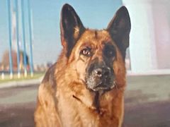 -中影国际影城(东方新天地CINITY店)