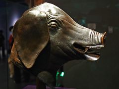 -广西壮族自治区博物馆