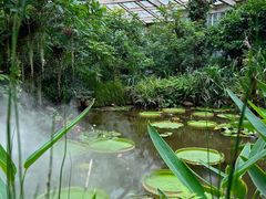 -昆明植物园