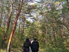 -帽儿山国家森林公园