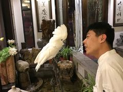 -大唐名家·息壤店