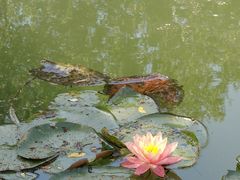 -东梓关景区村庄