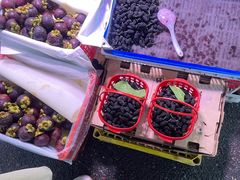 -双福水果批发市场