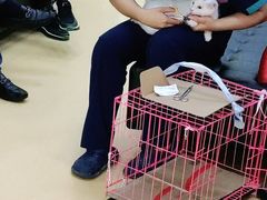 -瑞派天宁宠物医院·猫科·异宠中心