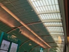 -龙阳路磁悬浮列车总站-停车场