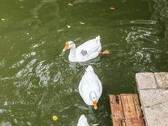 -苏州碑刻博物馆