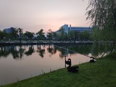 -南京医科大学(江宁校区)