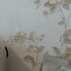 -凡碧诗毛孔收细