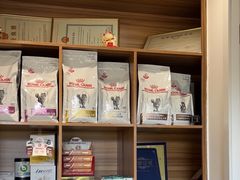 -御宝贝·A梦猫科宠物医院(国际猫友好医院)
