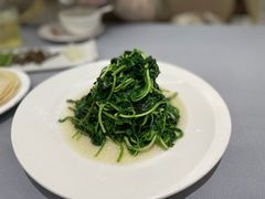 菊叶马兰头-狮王府淮扬菜(新街口友谊店)