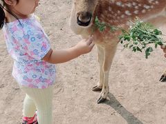 -北京麋鹿生态实验中心