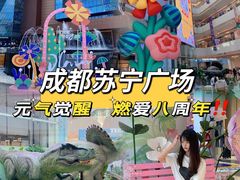 -苏宁广场·城市奥特莱斯(天府立交店)