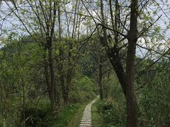-千岛湖龙川湾