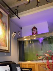 -雕哥的纹身店A3 TATTOO&纹身培训