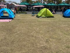 -春花秋色城市公园