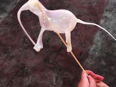 -万达茂商场(南京仙林店)