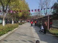 -合肥野生动物园