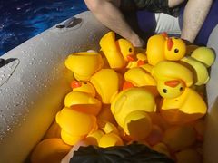 -郑州方特水上乐园