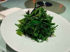 油鸡枞拌辣木苗-马旺子酒楼