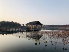 -溱湖国家湿地公园