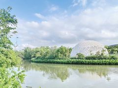 -上海吴淞炮台湾国家湿地公园