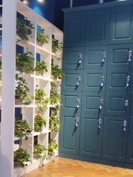 -东晨宝格丽品质造型