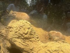 -长鹿旅游休博园