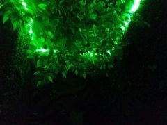 -MOJO密室逃脱(中街旗舰店)