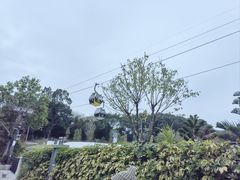 -广州市白云山风景名胜区