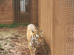 -昆明动物园