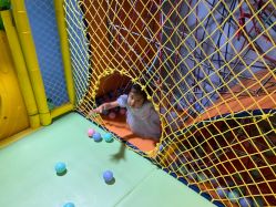 -酷嗒动物文化乐园(cutezoo西溪乐天城店)