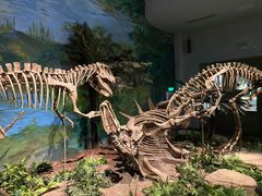 -自贡恐龙博物馆