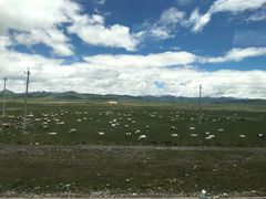 -青海湖国家重点风景名胜区
