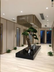 -HQ半永久纹绣纹眉