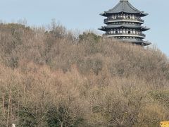 -西湖外事游船(花港观鱼码头)