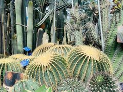 -国家植物园南园