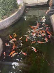 -特味村·宴会厅(生态园店)