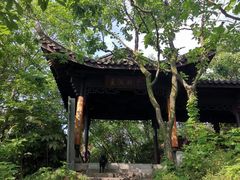 -杭州半山国家森林公园