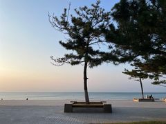 -威海国际海水浴场旅游区