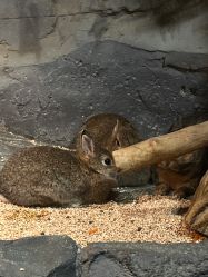 -Zoolung Zoolung动物主题公园(海信广场店)