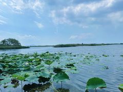 -苏州太湖湖滨国家湿地公园