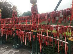 -国色天乡三期陆地乐园