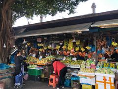 -南沙十九涌渔人码头-南门