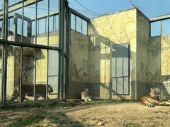 -无锡动物园·太湖欢乐园