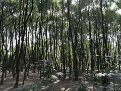 -东湖落雁景区