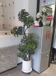 -LJOY丽锦造型·烫发染发