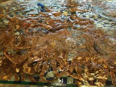 -古韵轩·江浙融合菜(梁溪店)